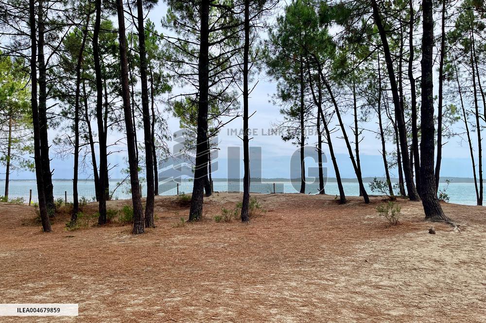 Illustration - Oleron Island