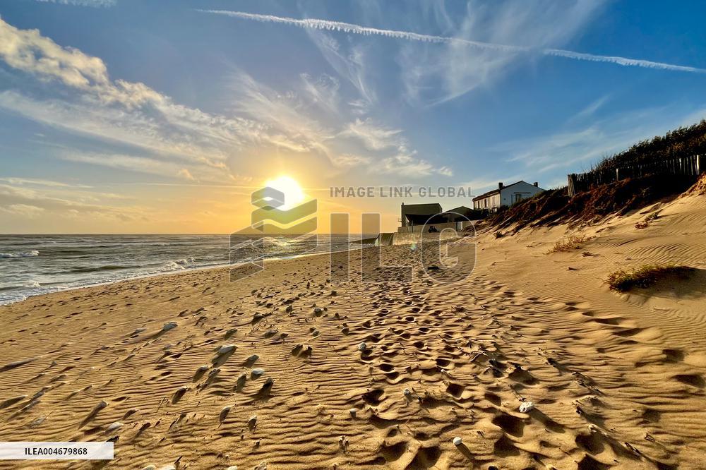 Illustration - Oleron Island