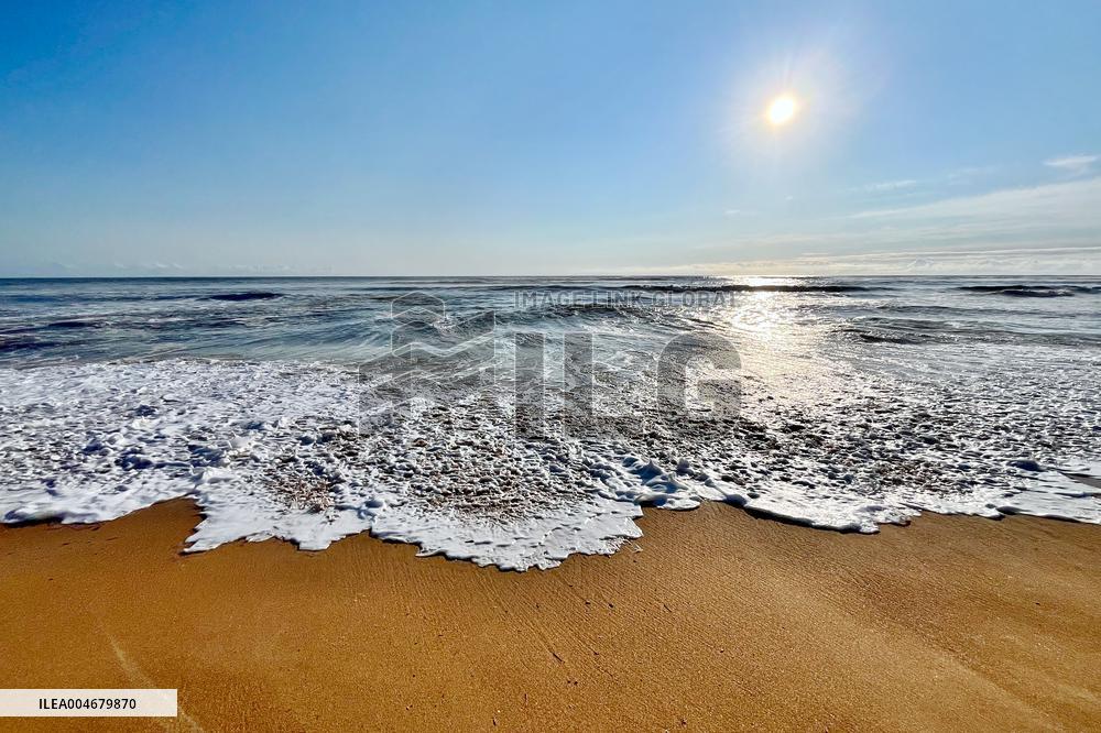 Illustration - Oleron Island