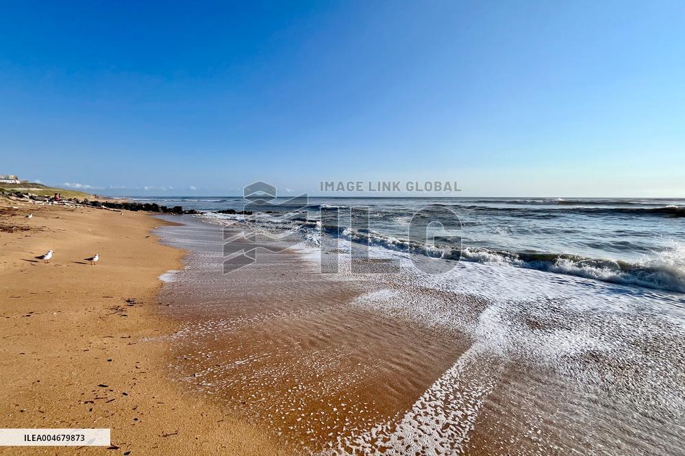 Illustration - Oleron Island