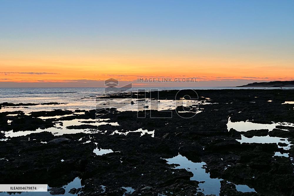 Illustration - Oleron Island