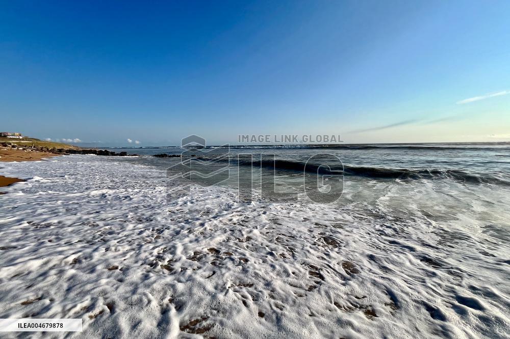 Illustration - Oleron Island