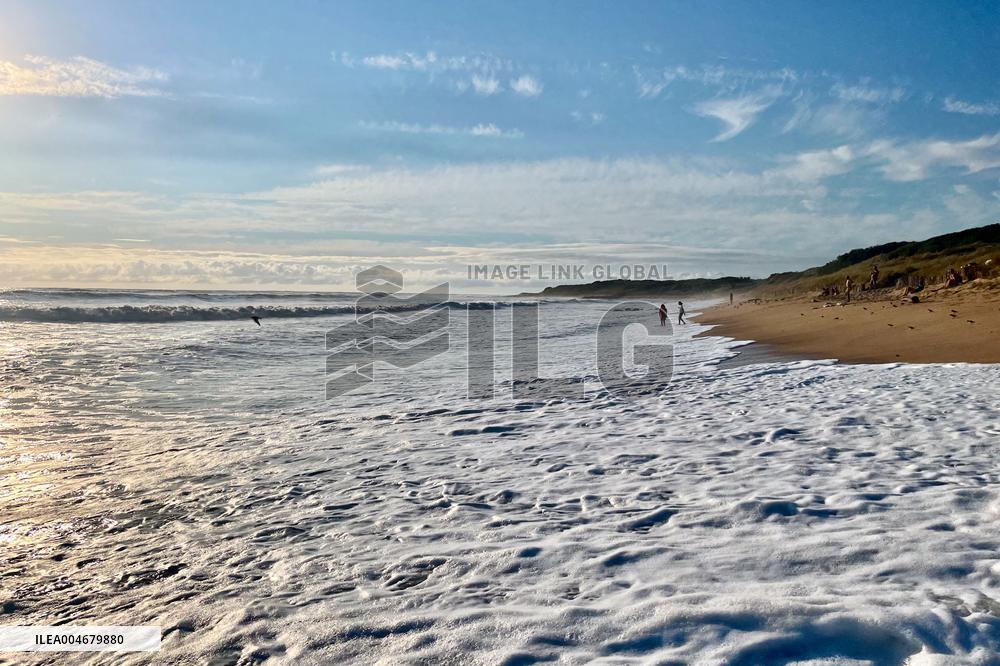 Illustration - Oleron Island