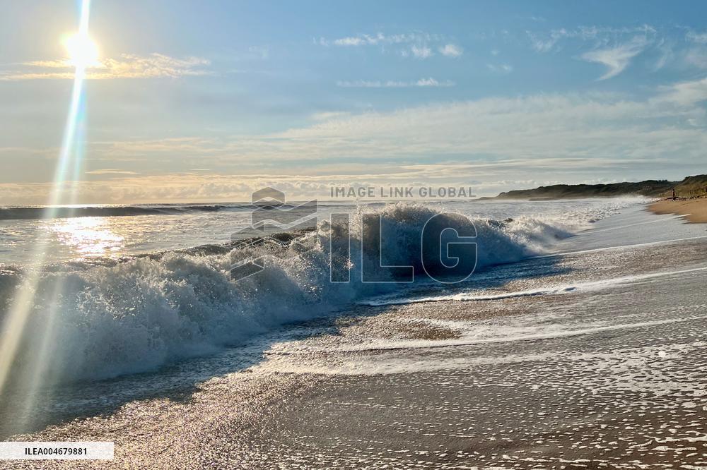 Illustration - Oleron Island
