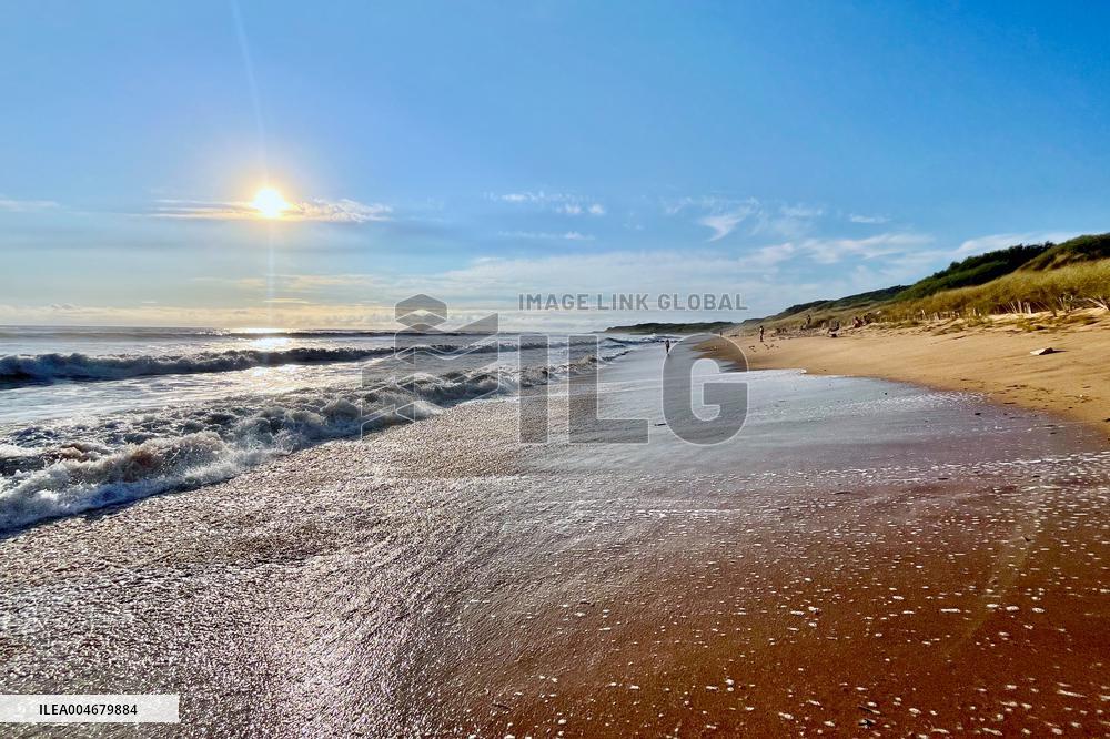 Illustration - Oleron Island