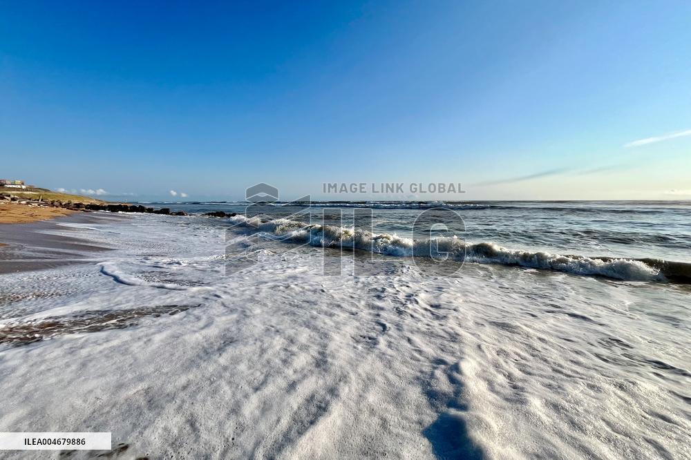 Illustration - Oleron Island