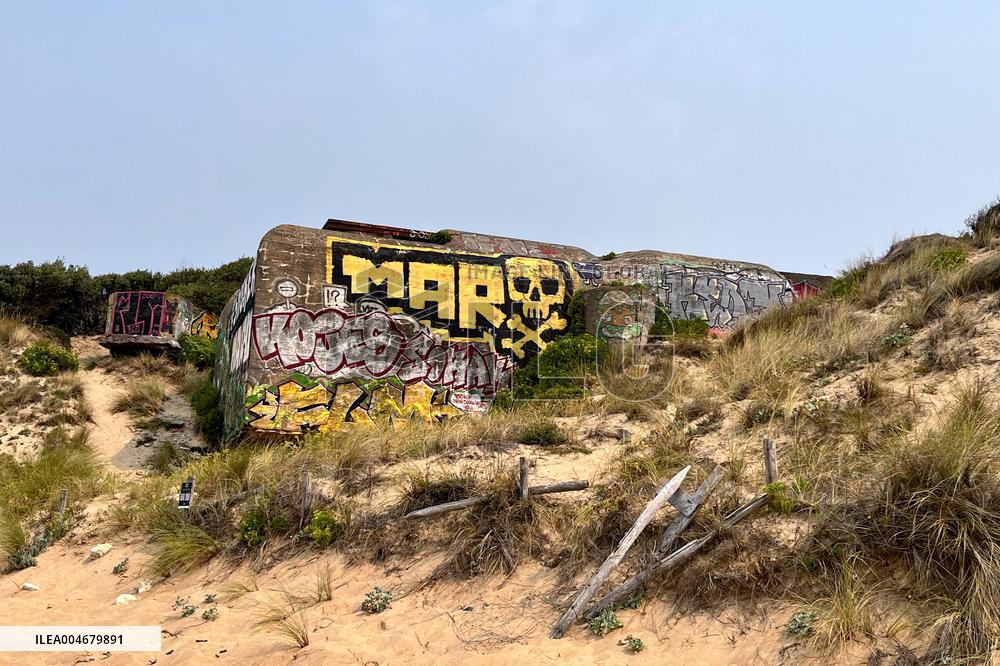 Illustration - Oleron Island