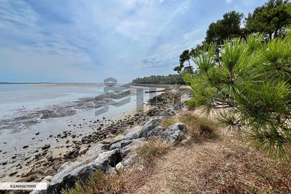Illustration - Oleron Island