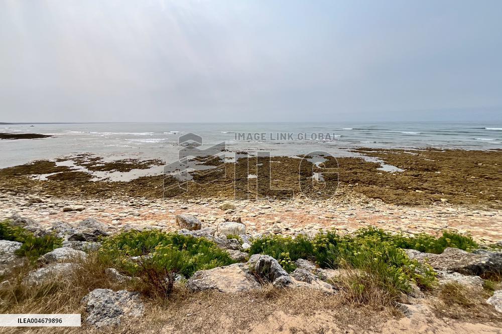 Illustration - Oleron Island