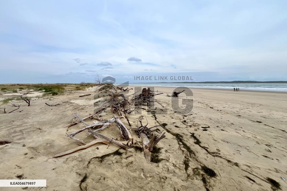 Illustration - Oleron Island