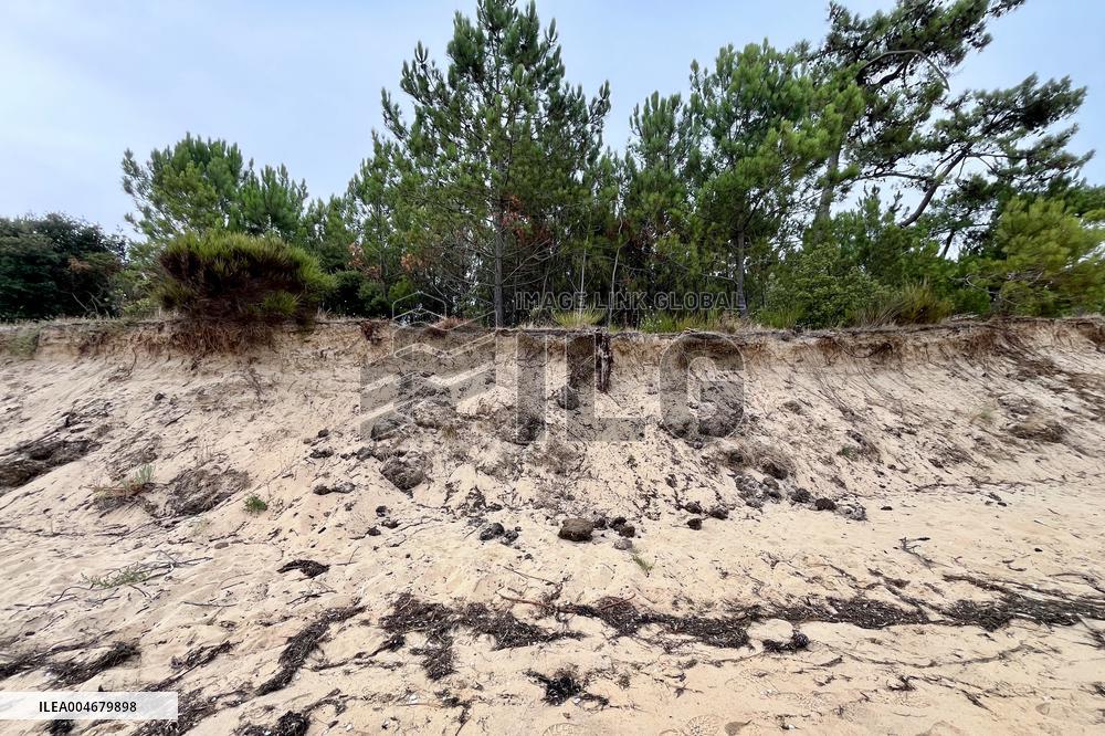 Illustration - Oleron Island