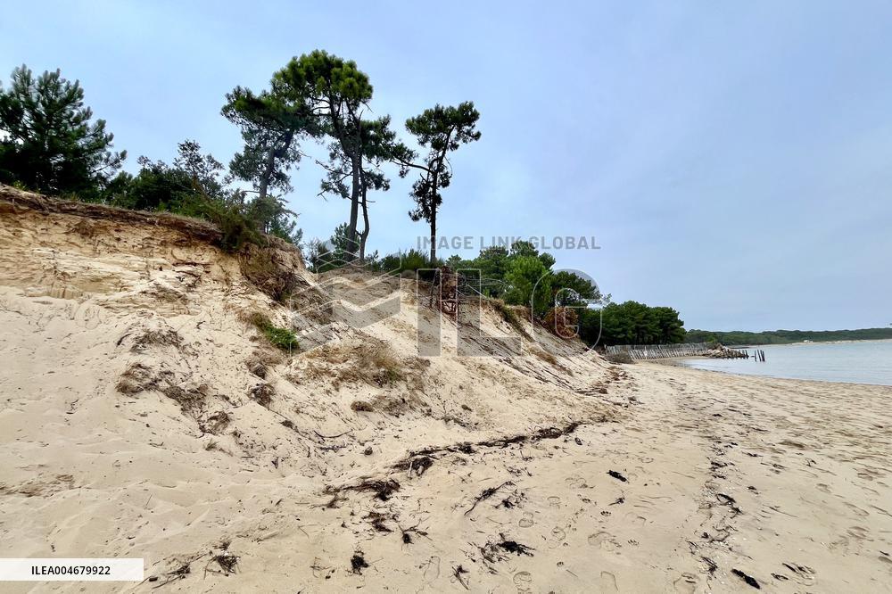 Illustration - Oleron Island