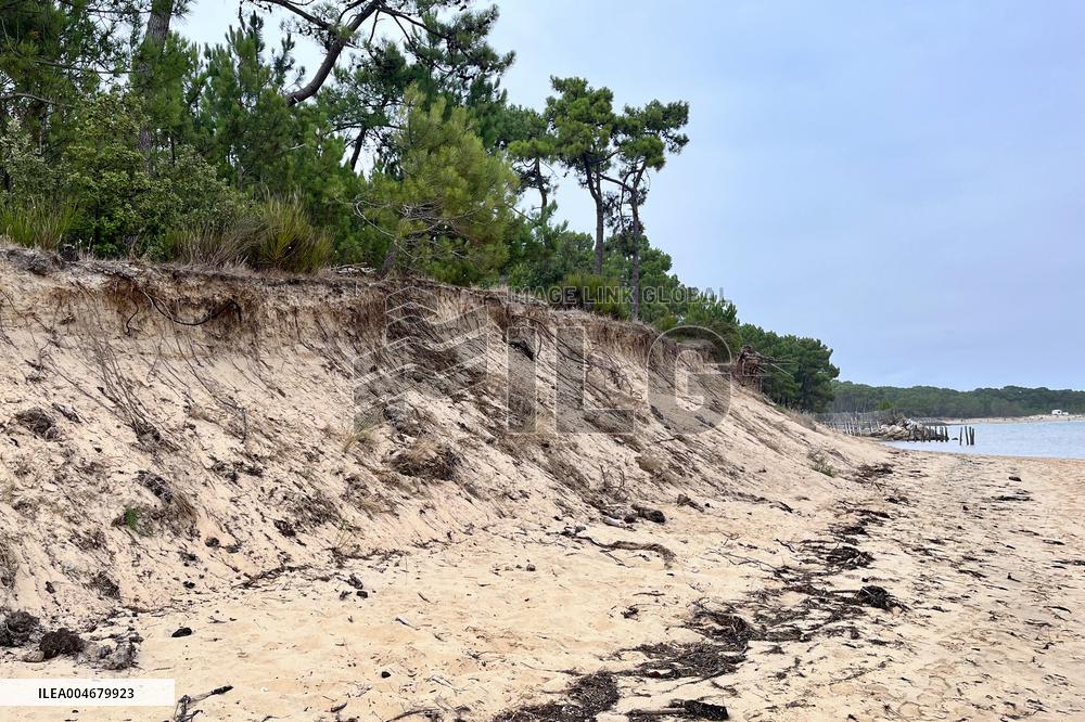 Illustration - Oleron Island