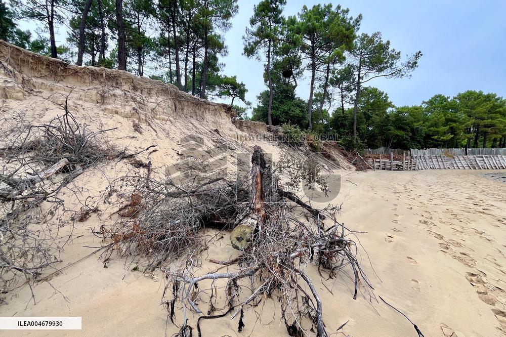 Illustration - Oleron Island