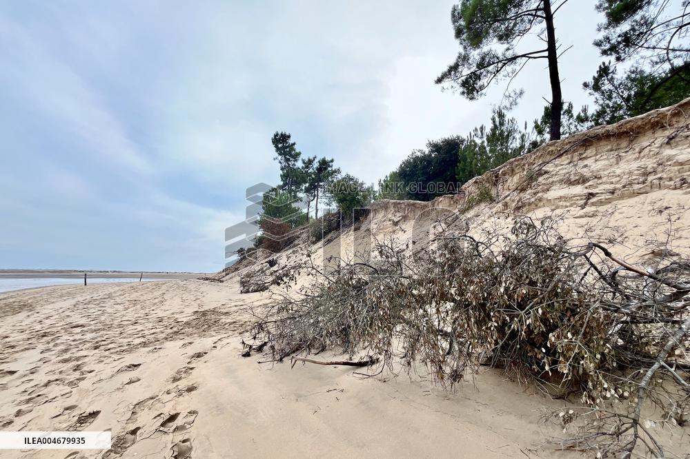 Illustration - Oleron Island