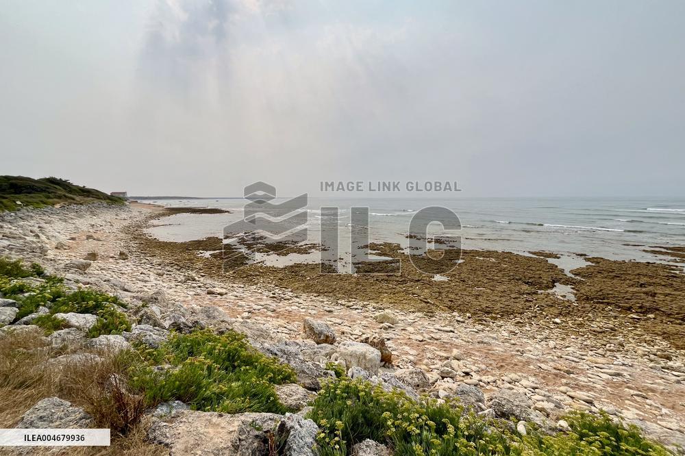 Illustration - Oleron Island