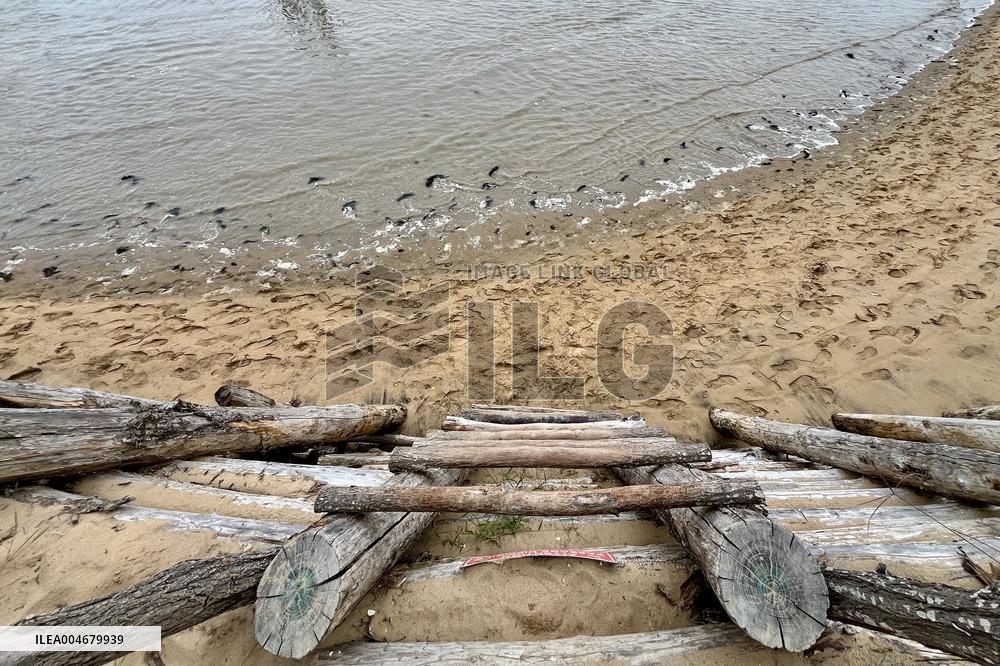 Illustration - Oleron Island