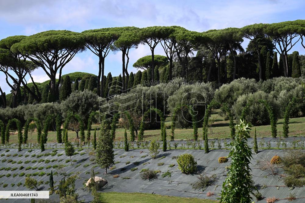Vatican’s Ecological Project In The Pope’s Gardens in Castel Gandolfo
