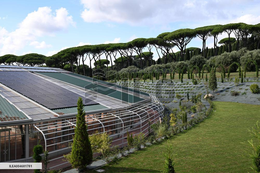 Vatican’s Ecological Project In The Pope’s Gardens in Castel Gandolfo