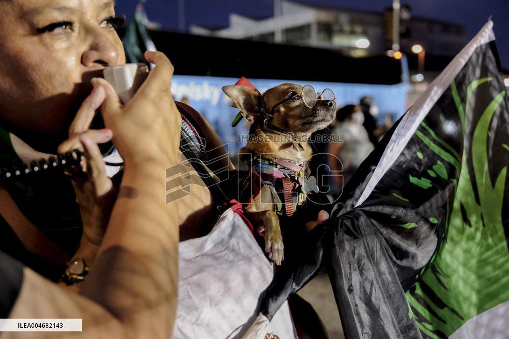 Anti ICE Demonstrations - LA
