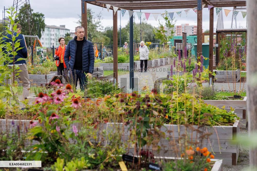 Tallinn's Pollinator Highway
