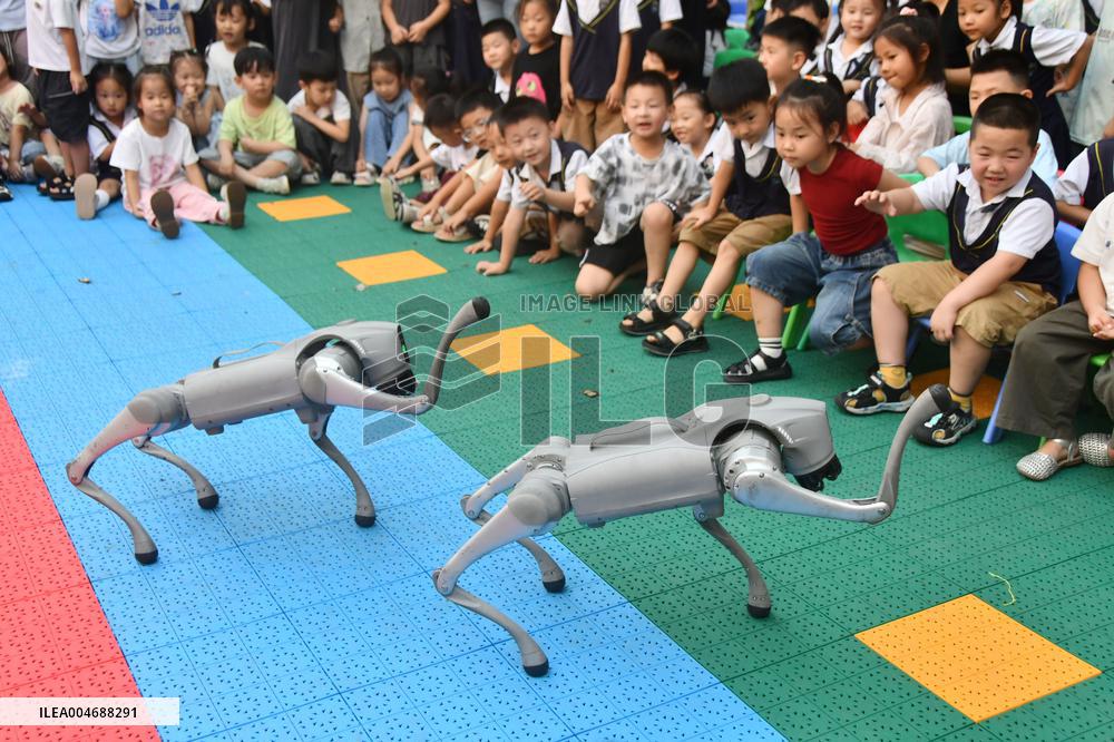 AI Education in Kindergartens