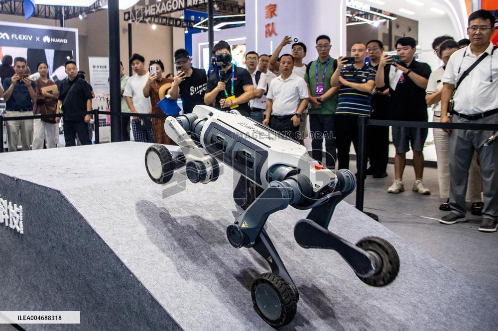 World Smart Industry Expo 2025 - China