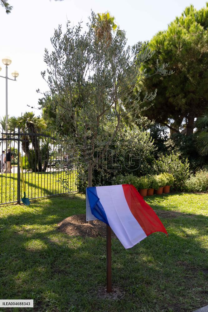 Planting of An Olive Tree in Tribute to Ilan Halimi in Nice - France