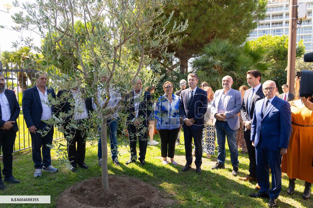 Planting of An Olive Tree in Tribute to Ilan Halimi in Nice - France