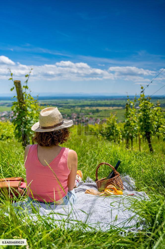 Illustration - Alsace