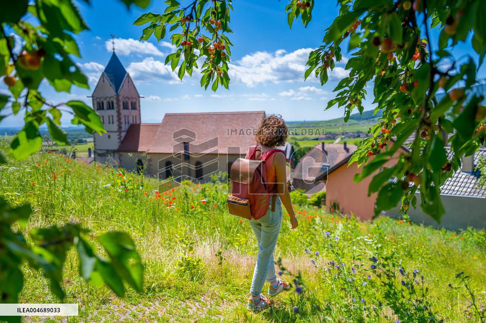 Illustration - Alsace