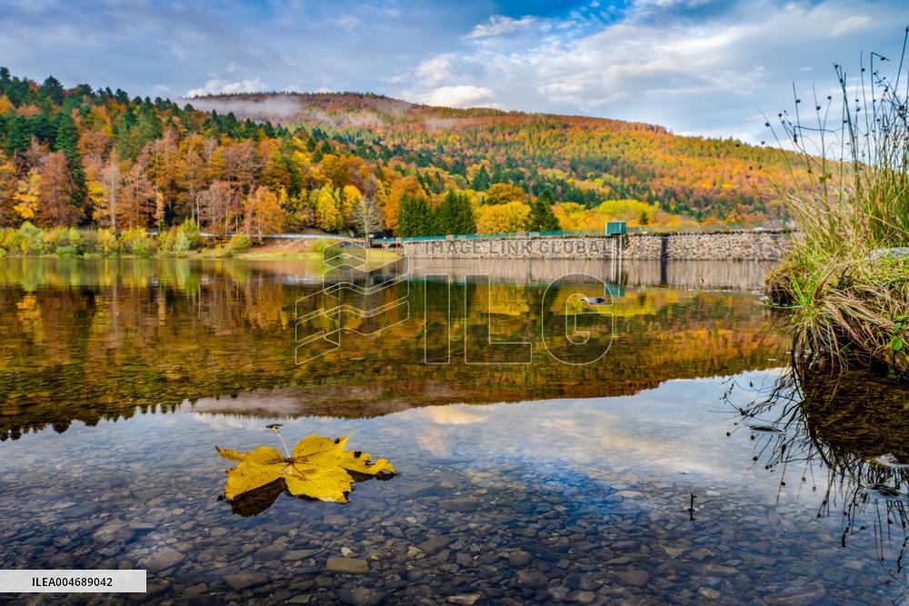 Illustration - Alsace