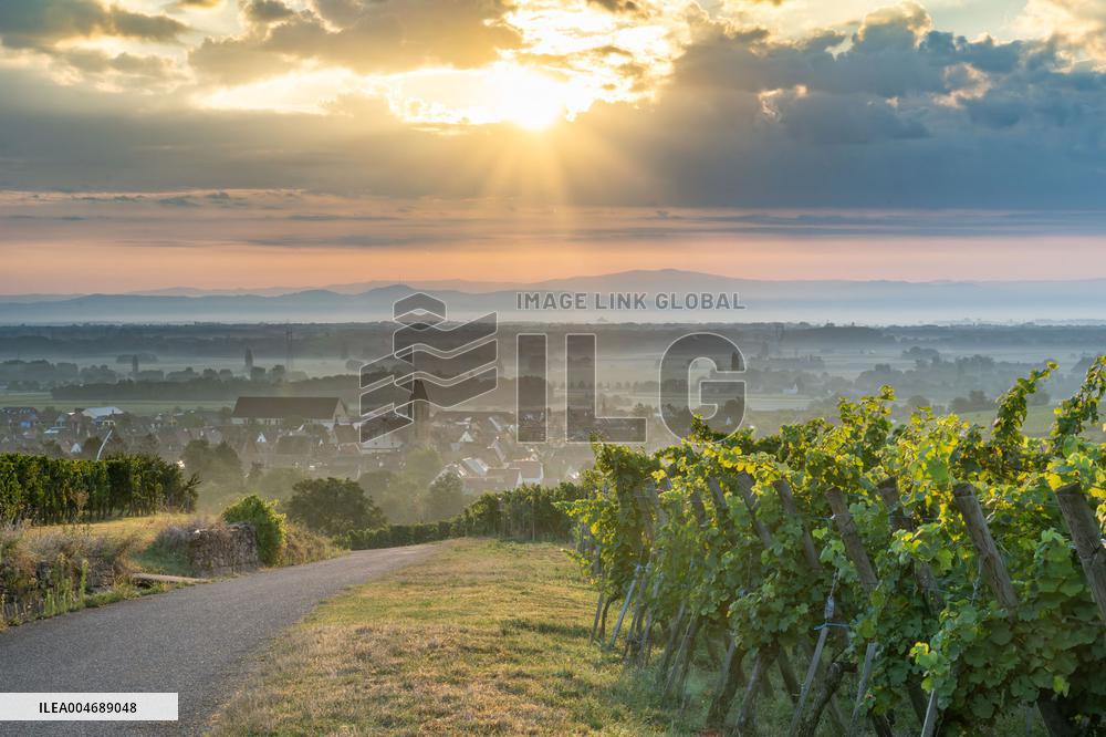 Illustration - Alsace