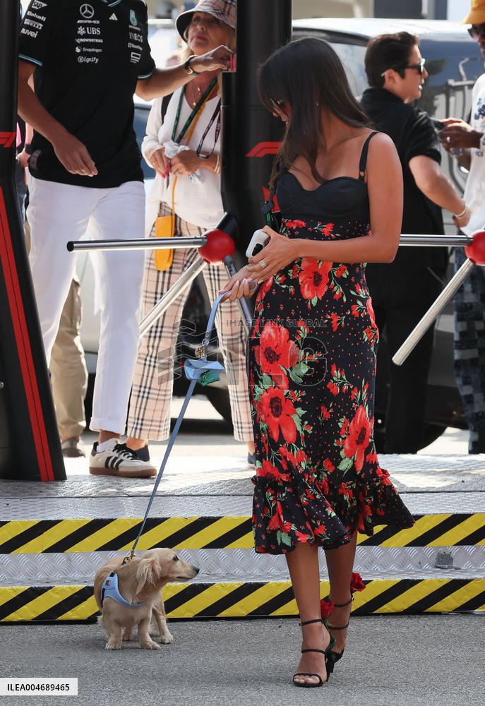 MOTORI - Formula 1 - Pirelli Gran Premio d'Italia 2025