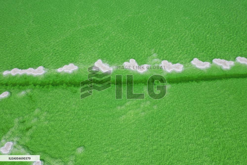 Qarhan Salt Lake in Golmud