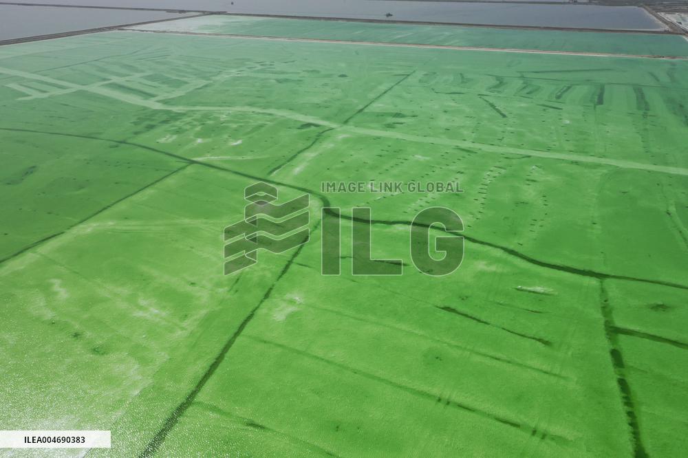 Qarhan Salt Lake in Golmud