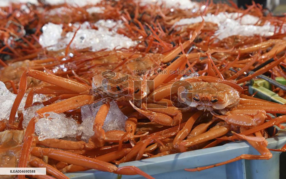 Red snow crab catch in western Japan