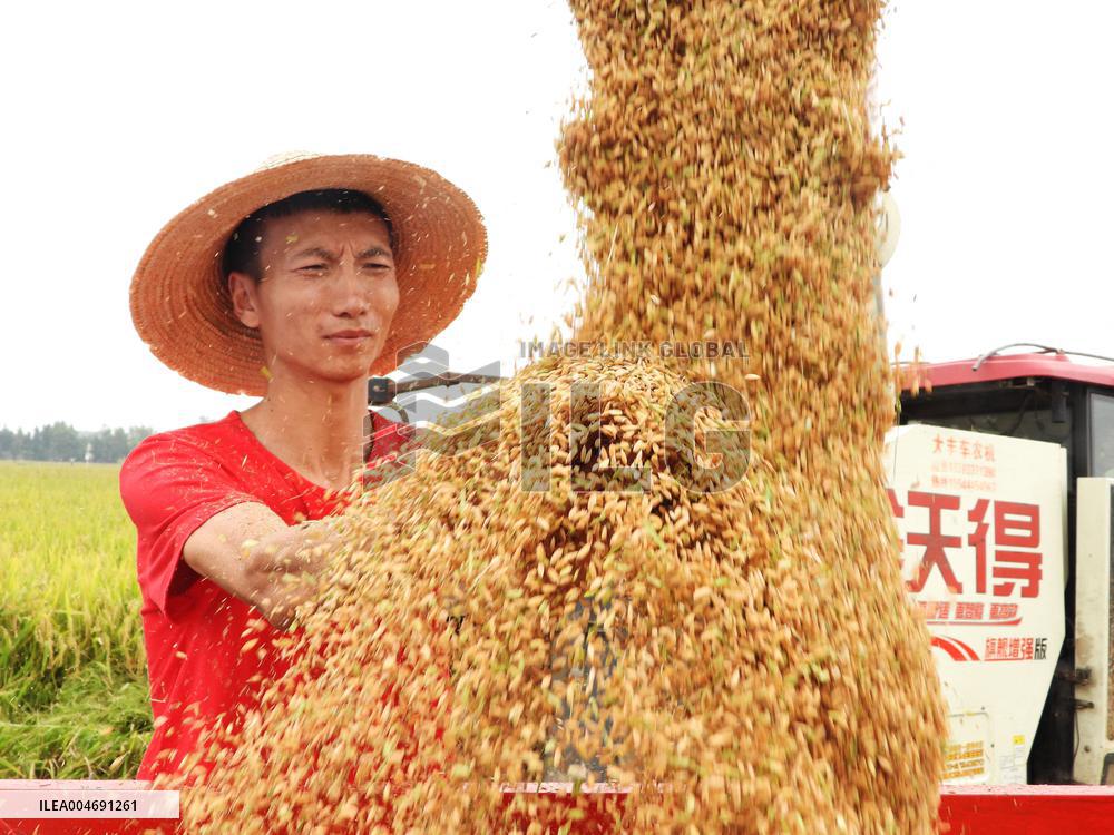 White Dew Farming - China