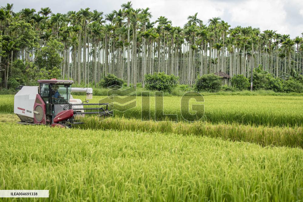 Seeds Displayed At Fuligong Greenhouses In Kunming