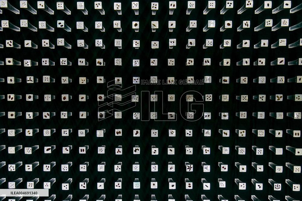 Seeds Displayed At Fuligong Greenhouses In Kunming