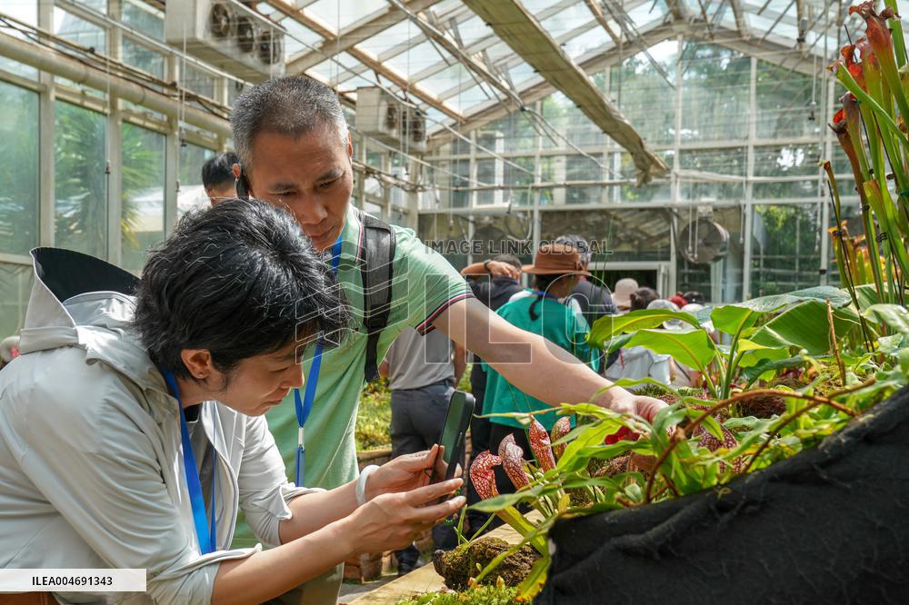 Seeds Displayed At Fuligong Greenhouses In Kunming