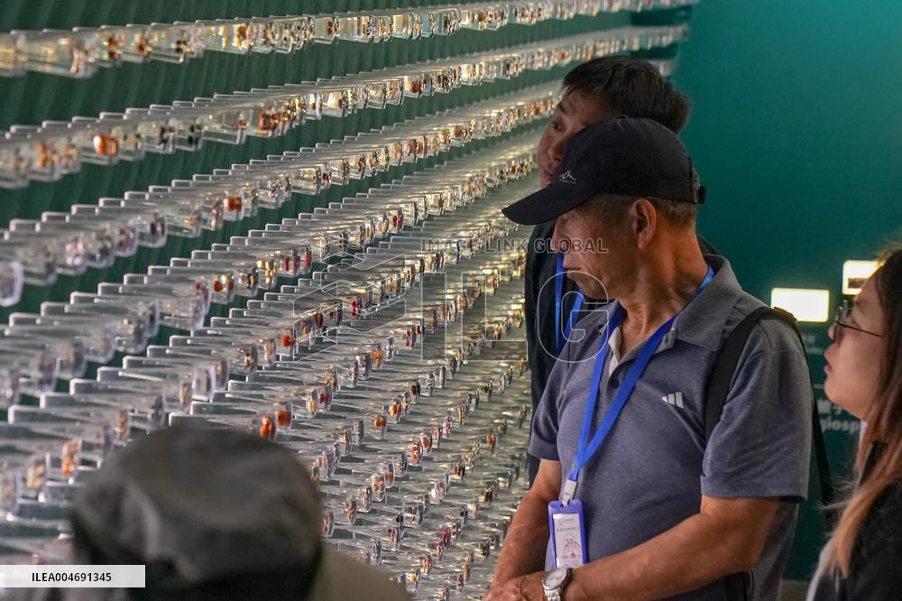 Seeds Displayed At Fuligong Greenhouses In Kunming