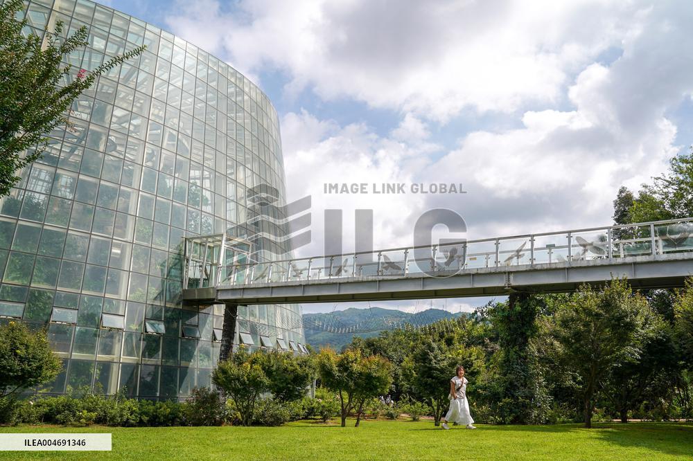 Seeds Displayed At Fuligong Greenhouses In Kunming