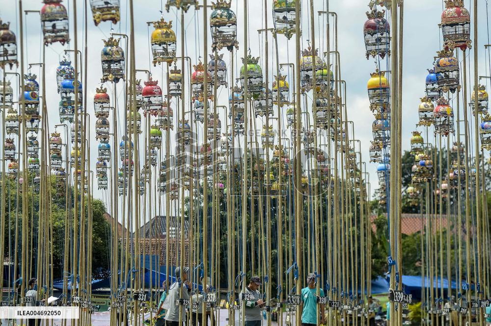 Yogyakarta Turtledove Chirping Contest - Indonesia