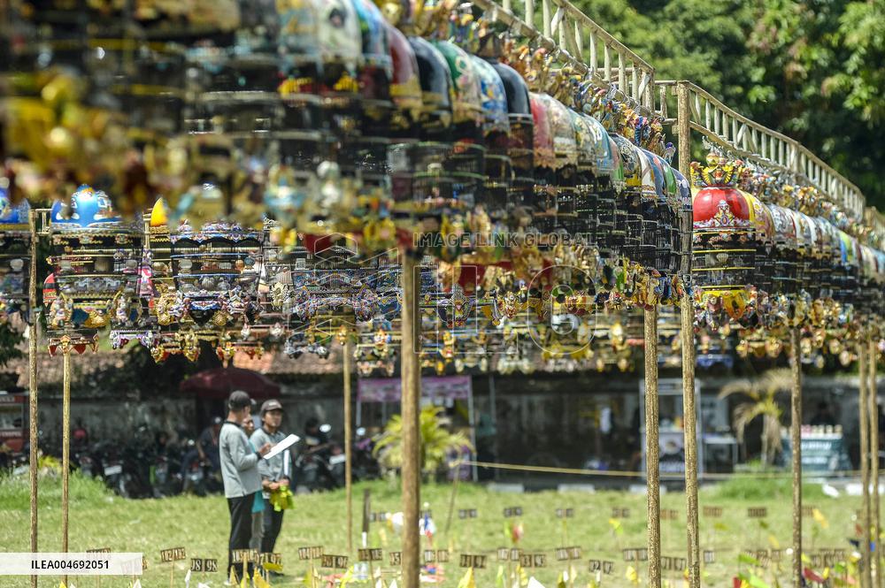 Yogyakarta Turtledove Chirping Contest - Indonesia