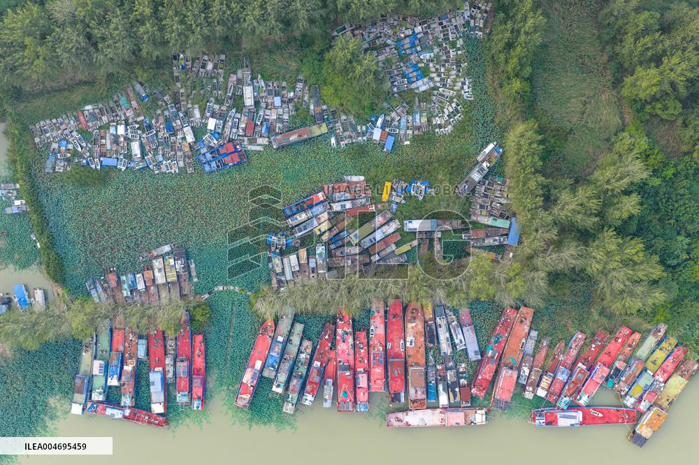 Prohibition and Withdrawal of Fishing in The Waters of Hongze Lake