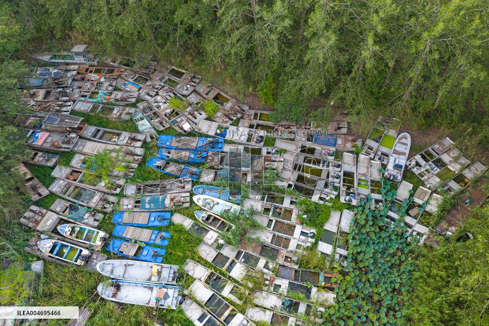 Prohibition and Withdrawal of Fishing in The Waters of Hongze Lake