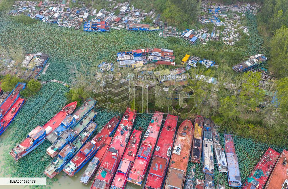 Prohibition and Withdrawal of Fishing in The Waters of Hongze Lake