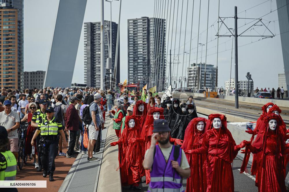 Rally in Support of Gaza - Rotterdam