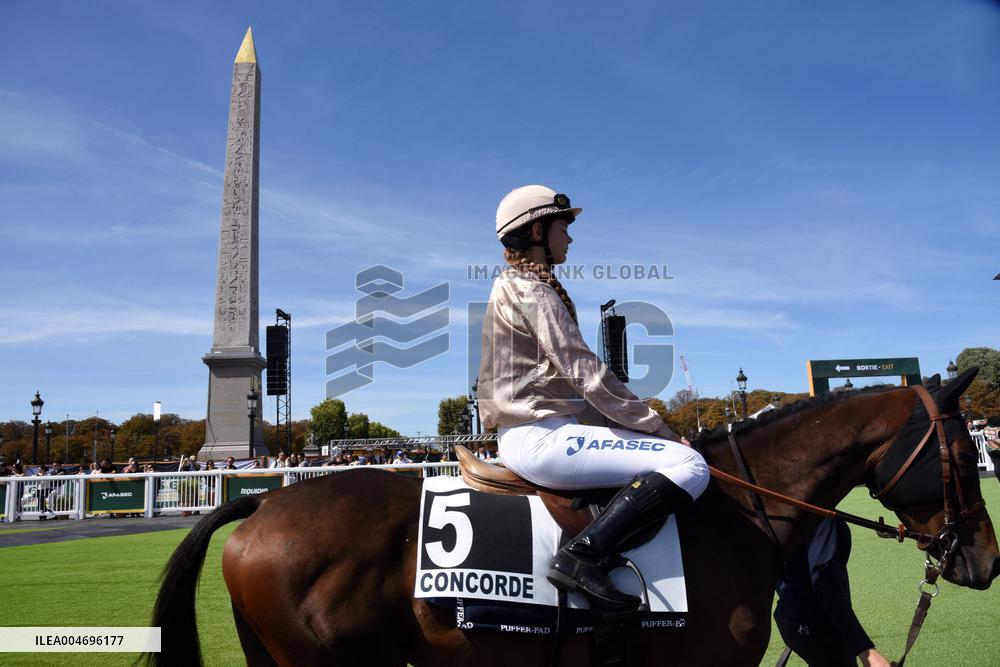 Horses In The City - Paris
